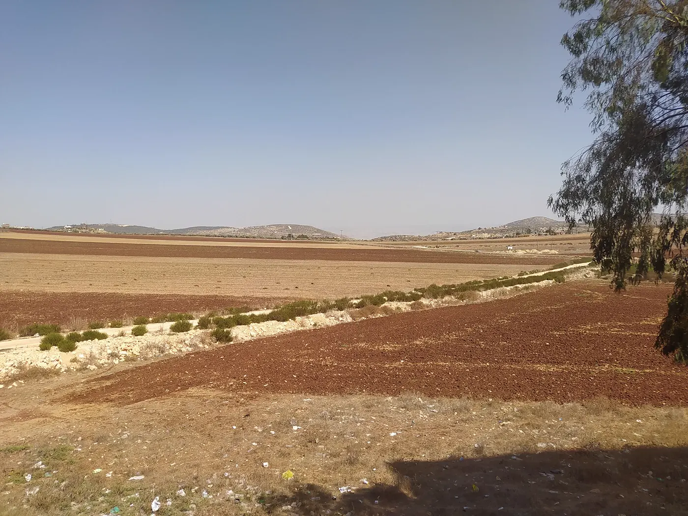 Agricultural land surrounding Talfit in Jenin Governorate